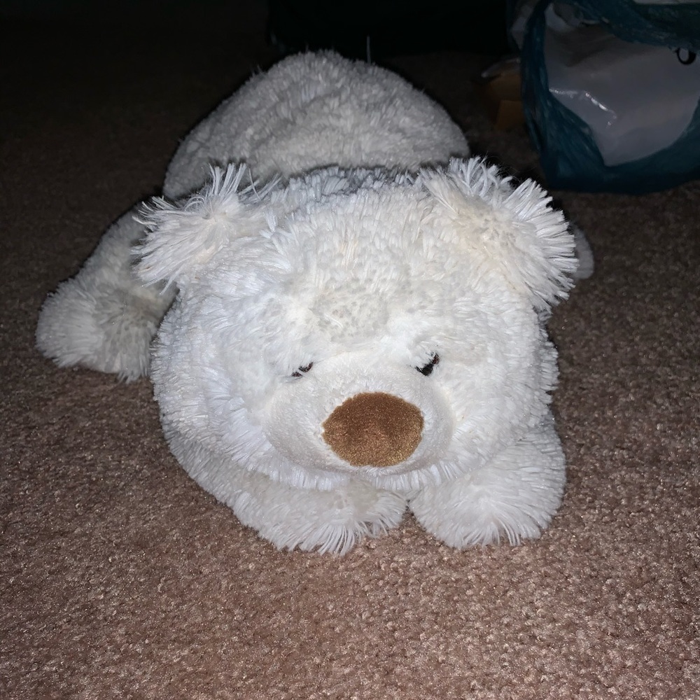 Teddy bear